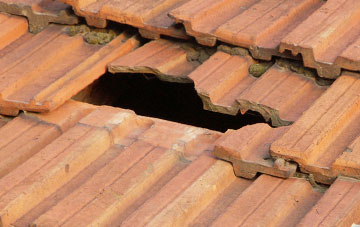 roof repair Tirinie, Perth And Kinross
